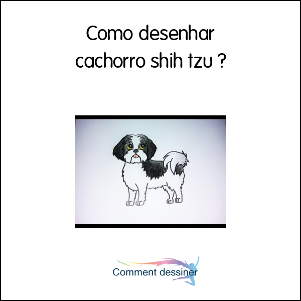 Como desenhar cachorro shih tzu